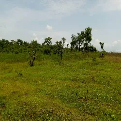 21 Hectares Land for Sale at Mararaba