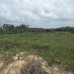 Become a Landlord - Buy your Land at Eleko, Lagos