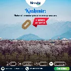 Explore the enchanting beauty of Jammu and Kashmir with expertly crafted travel packages by Nroute V
