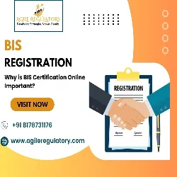 Why is BIS Certification Online Important?