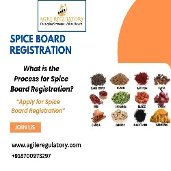 What is the Process for Spice Board Registration?