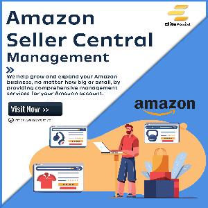 Amazon Marketing Consultant  Elite Assist
