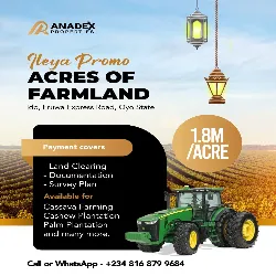 Own Fertile Farmland in Ido, Ibadan – N1.8M Per Acre (All-Inclusive)