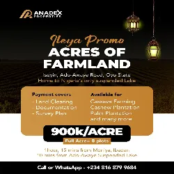 Affordable Agro Land in Ado Awaye, Iseyin – All-Inclusive Deal!