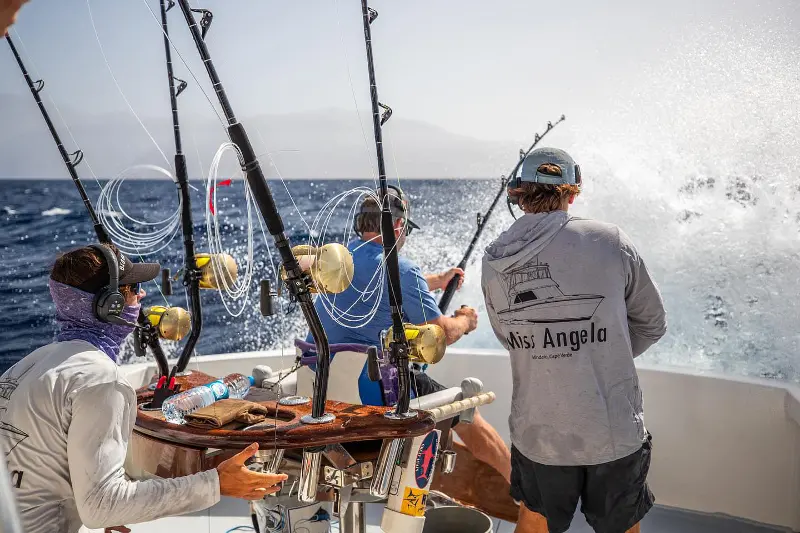Marlin Fishing Cape Verde Marlin Fishing Cape Verde