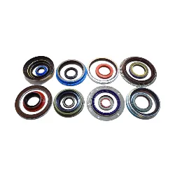 High Quality Oil Seal TC TB TCL Auto Oil Seal Manufacturer