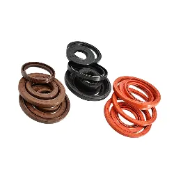 Made in China Factory Supply High Pressure Oil Seals NBR FKM FPM Shaft Seal